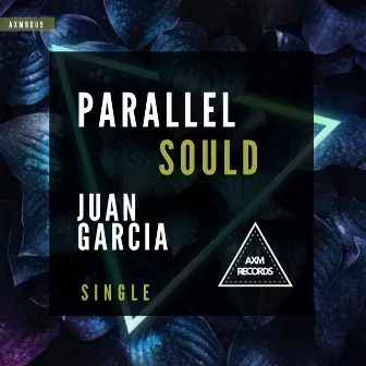 Parallel Sould by Juan Garcia