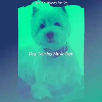 Music for Relaxing Your Dog by 