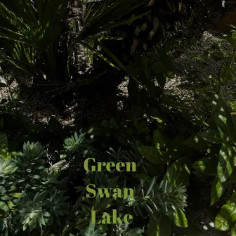 Green Swan Lake by Chad Isaacson