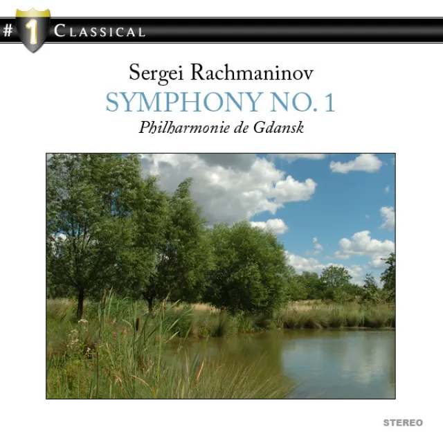 Symphony No. 1 in D Minor, Op. 13: I. Grave - Allegro ma non troppo