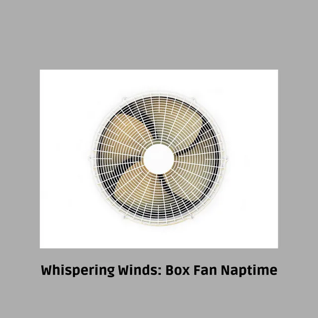 Box Fan Serenade: Your Bedtime Companion