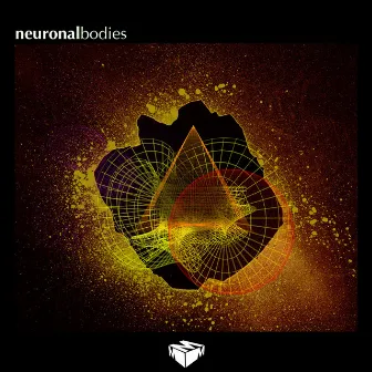 Neuronal Bodies by Dheny Cube