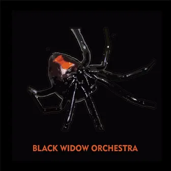 Black Widow Orchestra by Thenisda