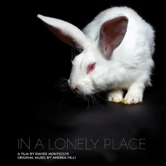 In a Lonely Place (Original Motion Picture Soundtrack) by Andrea Felli