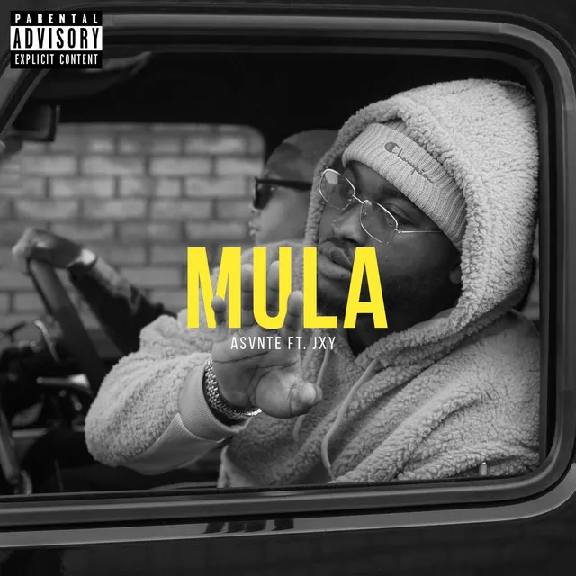 Mula