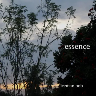 Essence by Robert Peck