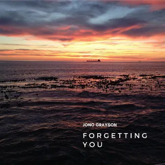 Forgetting You by Jono Grayson