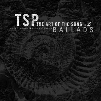 The Song Project: Art of the Song, vol. 2 by TSP