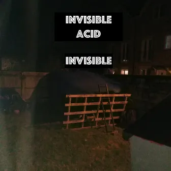 Invisible by Invisible Acid