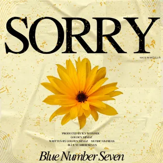 SORRY by Blue Number Seven