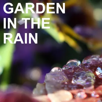 Garden in the Rain by Carroll Gibbons