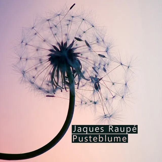 Pusteblume - Radio Edit