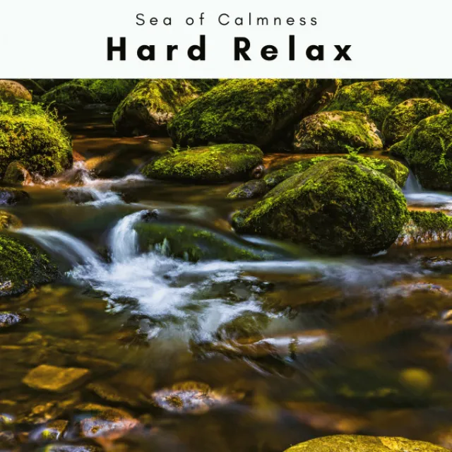 Vibes of Sleep Vibe for Hard Relaxation