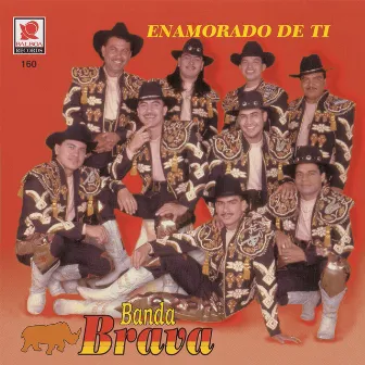 Enamorado De Ti by Banda Brava