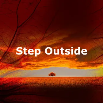 Step Outside by Owl Sounds Recordings