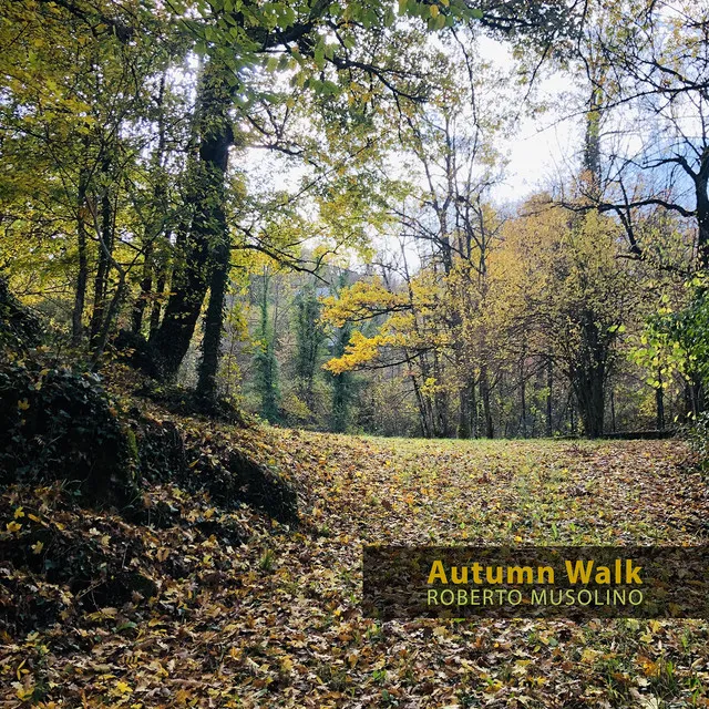 Autumn walk