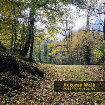 Autumn walk by Roberto Musolino