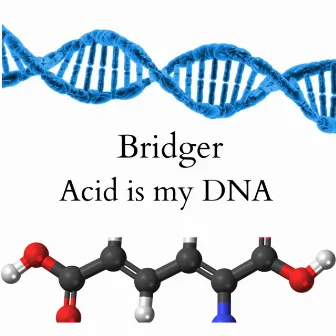 Acid is my DNA by Bridger