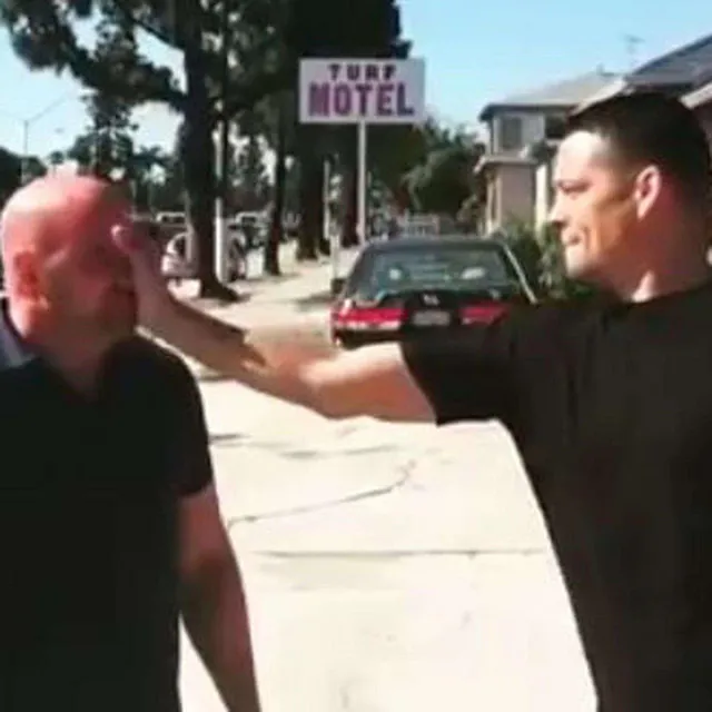 Punch In, Pt. 2 (Nate Diaz)