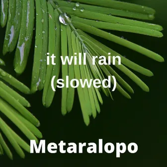 It will rain - slowed by Metaralopo