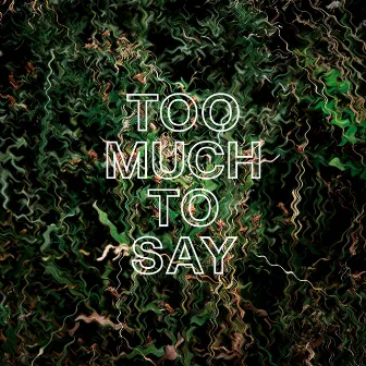 Too Much to Say by James Gruntz