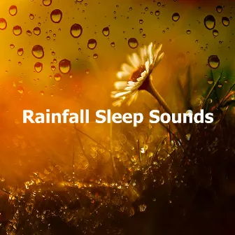 Rainfall Sleep Sounds by Sounds of Rain & Thunder Storms