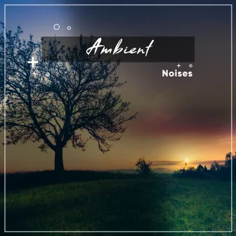 #10 Ambient Noises for Spa Relaxation or Meditative Calm by ambiente spazio musica