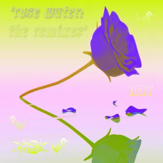 Rose Water: The Remixes by NAR