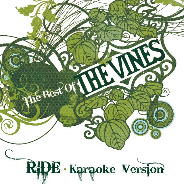 Ride - Karaoke Version