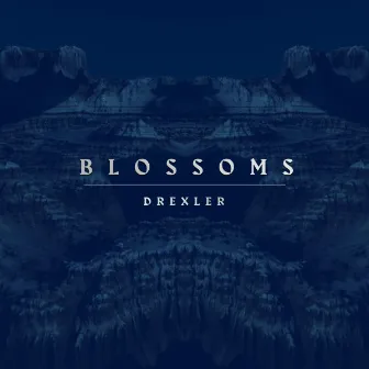 Blossoms by Drexler