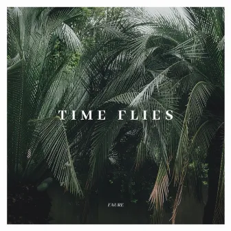 Time Flies by Faure