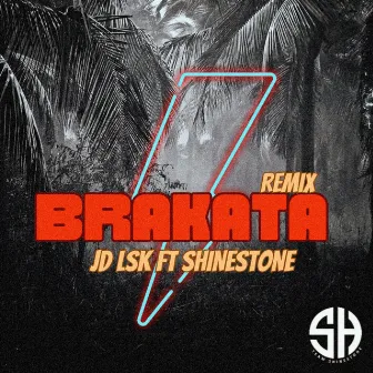 Brakata (Remix) by Shinestone