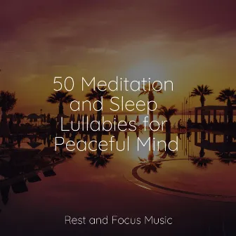 50 Meditation and Sleep Lullabies for Peaceful Mind by Ambientalism