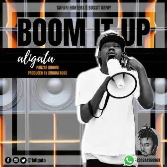 Boom It Up by Aligata