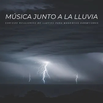 Música Junto A La Lluvia: Sonidos Relajantes De Lluvias Para Mascotas Dormilonas by Máquina de Ruido Blanco