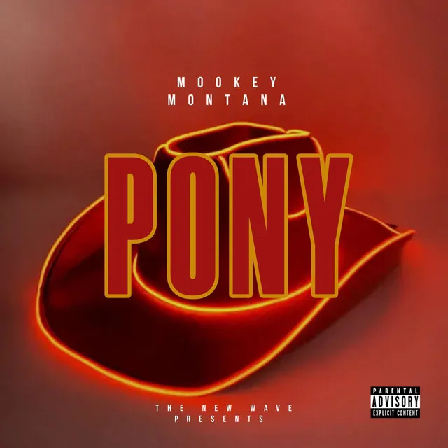 Pony