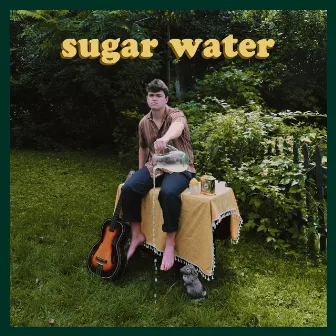 Sugar Water by Peter Groppe