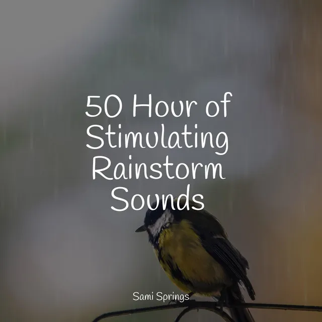 50 Hour of Stimulating Rainstorm Sounds