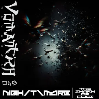 The Swarm Of Flies by Nigh/T\mare