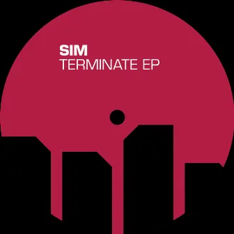 Terminate by SIM