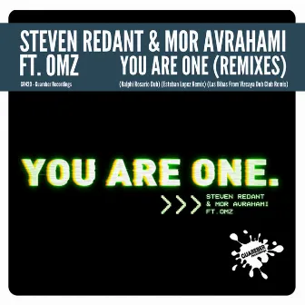 You Are One (Remixes) by Steven Redant