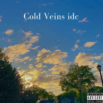 Cold Veins Idc by Cold Veins