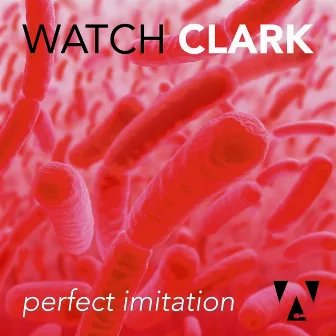 Perfect Imitation by Watch Clark