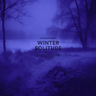 winter solitude (slowed + reverb) by Vilaxxs