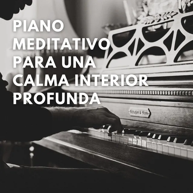 Viaje Meditativo