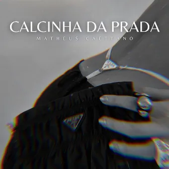 Calcinha da Prada by FELL