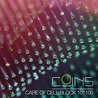 Care of Cell Block 101100 by Coins