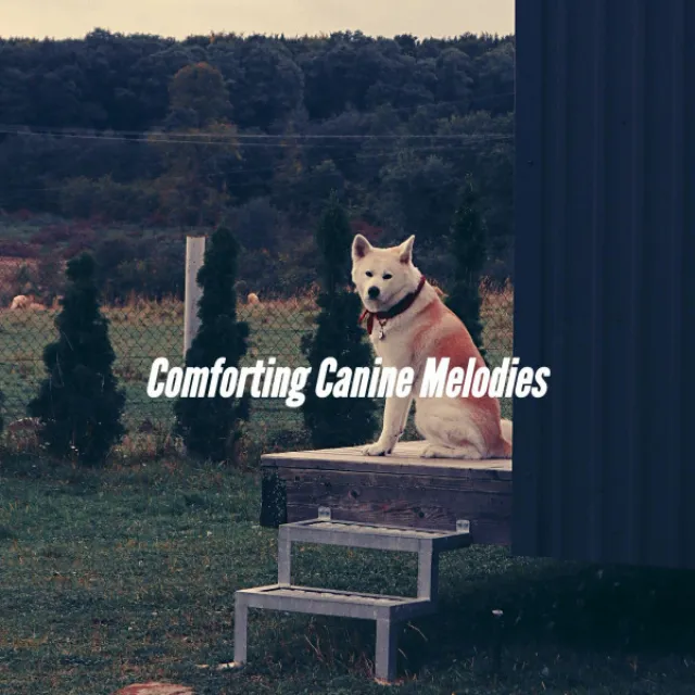 Comforting Canine Melodies