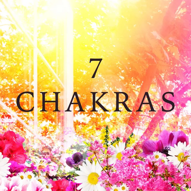 7 Chakras