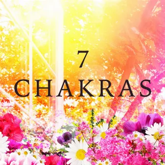 7 Chakras by Chakra Alchemy